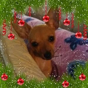 Meet your Posher, Connie